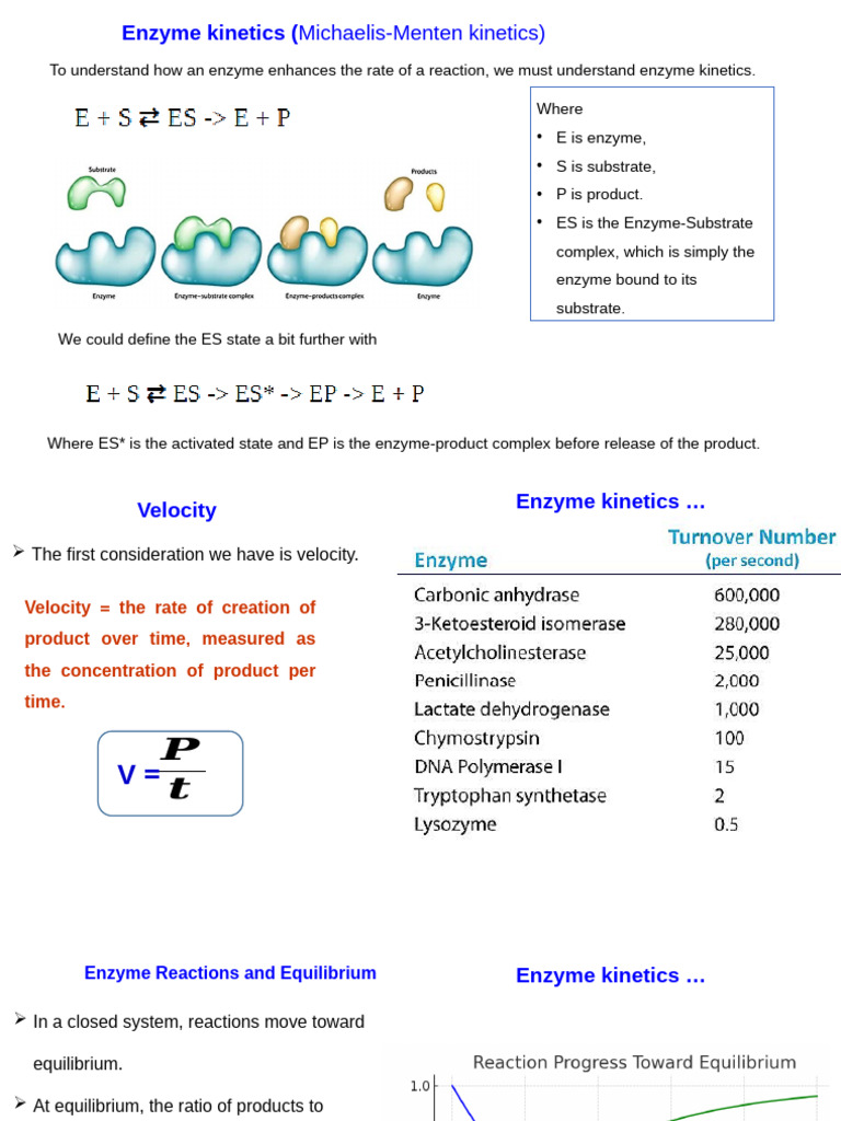 Intro to BioChemEng Ppt 3_4_5 | PDF | Enzyme Kinetics | Enzyme