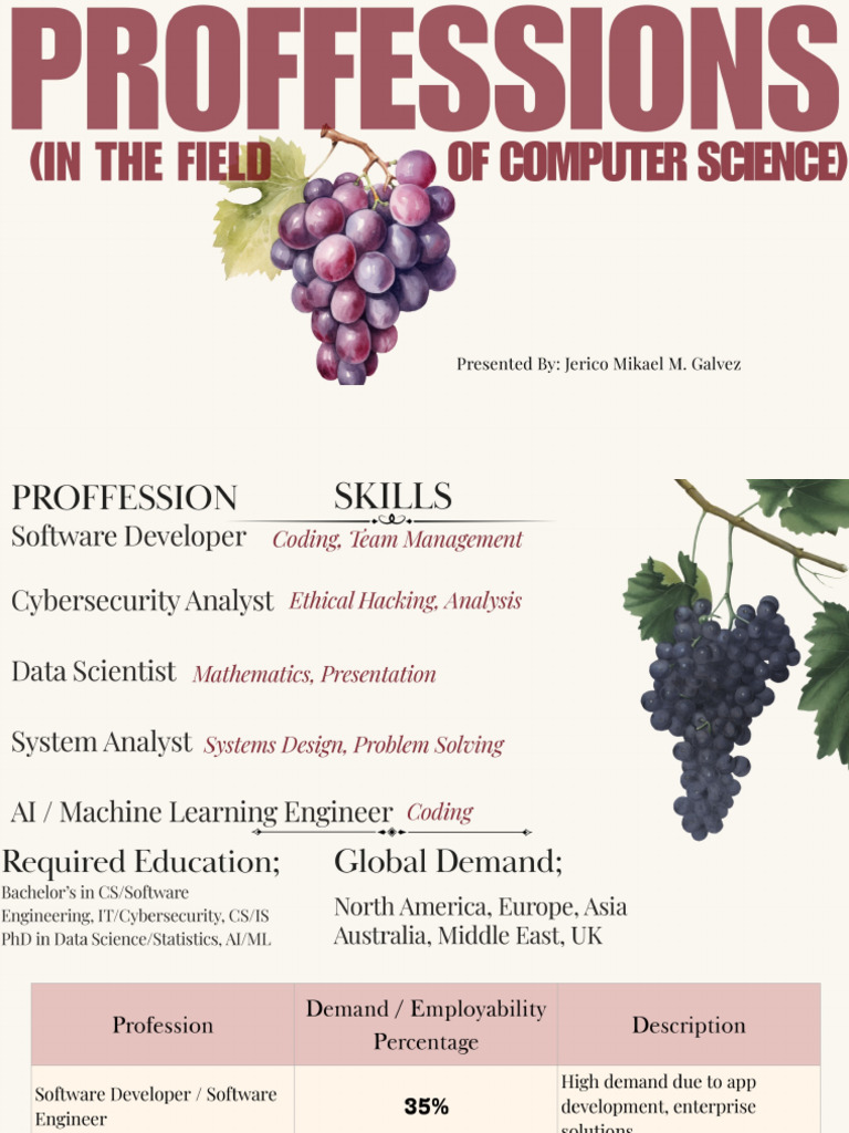 Proffessions in The Field of Computer Science | PDF
