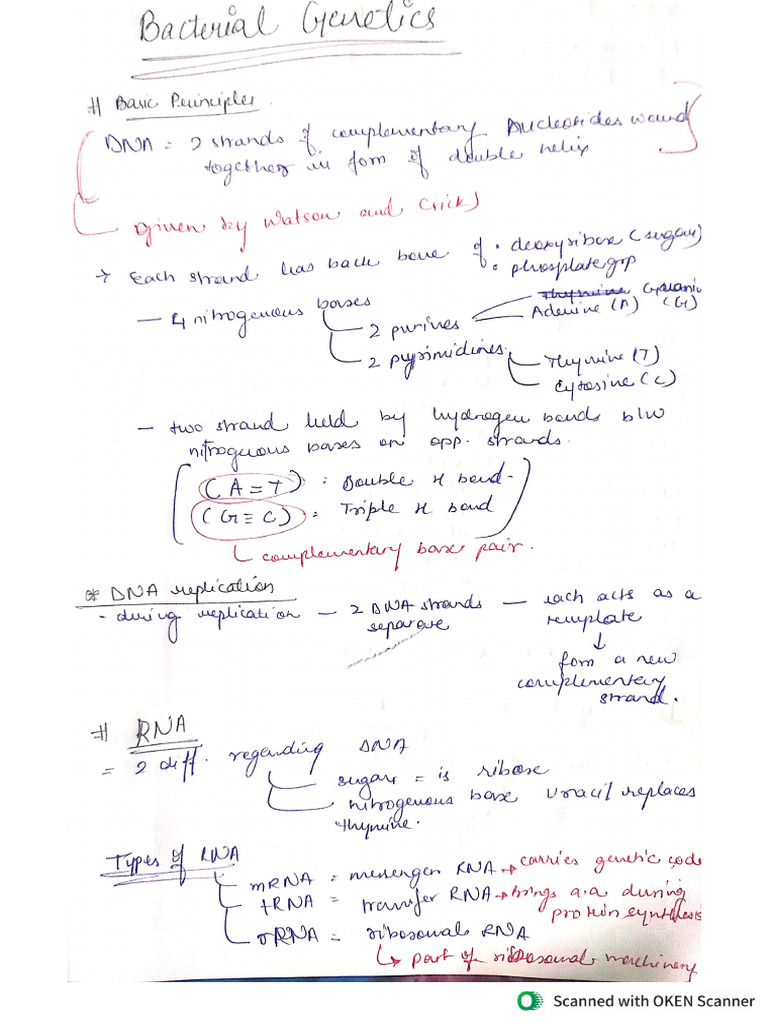 Genetics | PDF