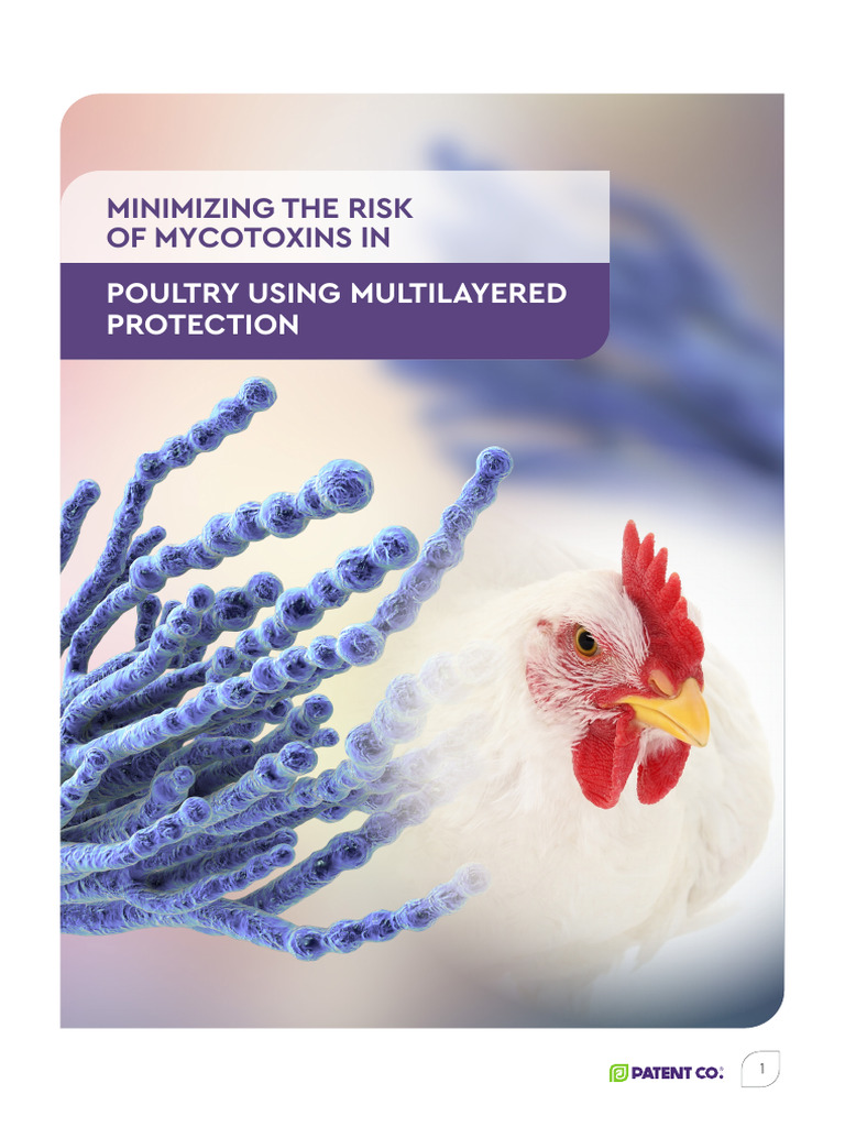 Multilayered Mycotoxin Protection Poultry | PDF | Mycotoxin | Biology
