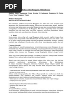 Download Budaya Suku Manggarai NTT Indonesia by Herlynch Andy Dae SN95796383 doc pdf