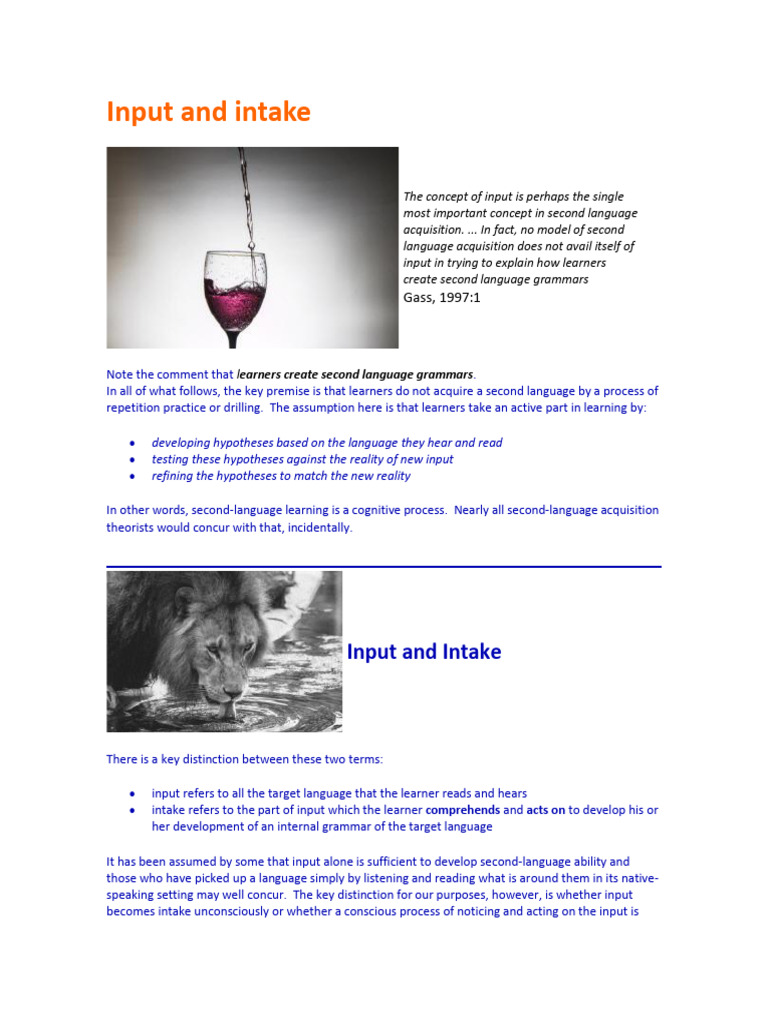 Understanding Input and Intake in Language Learning | PDF | Language ...