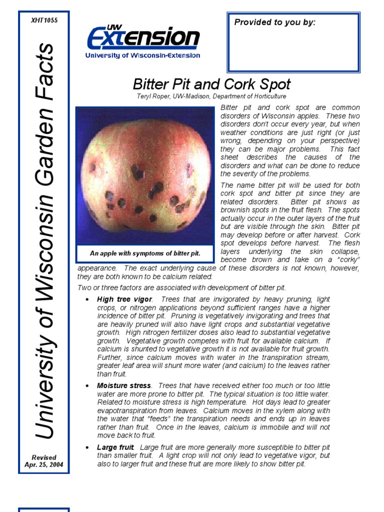 Bitter Pit and Cork Spot | PDF | Trees | Pruning