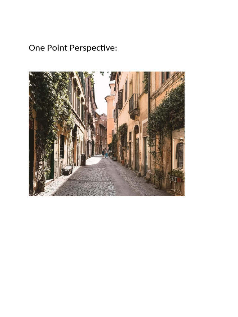 Perspectives | PDF