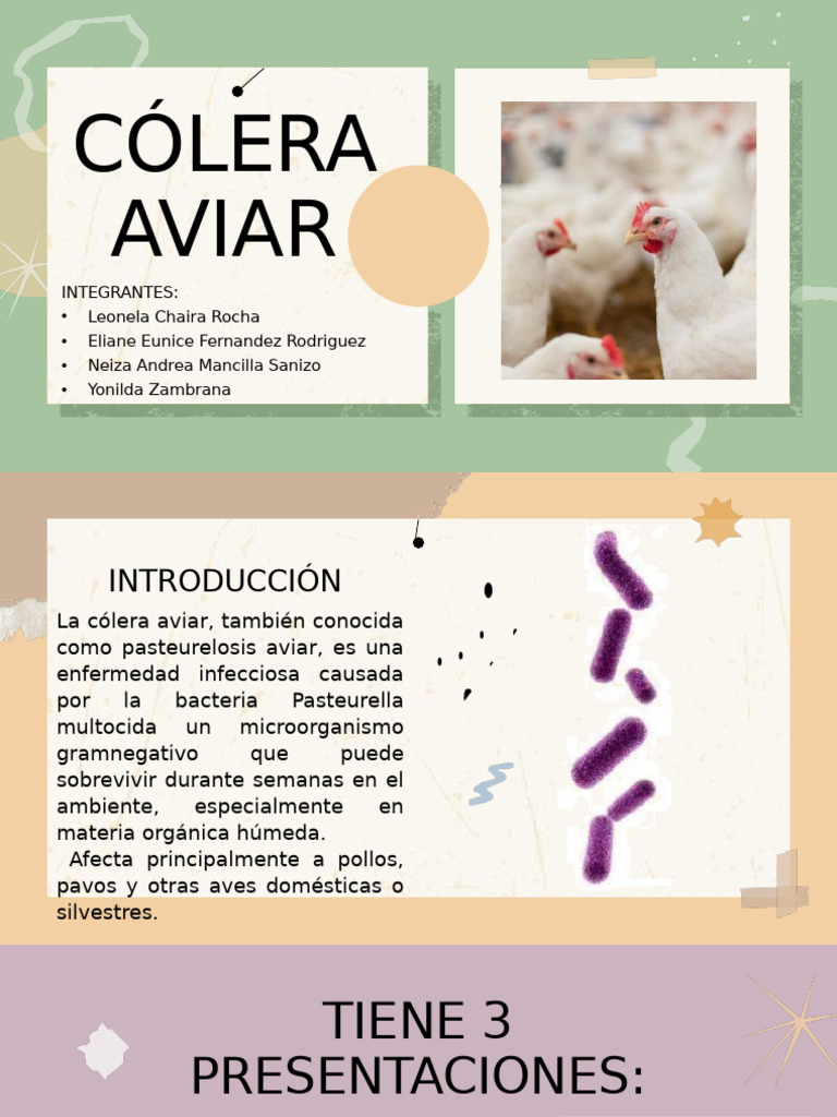 Cólera Aviar | PDF | Enfermedades y trastornos | Microbiología