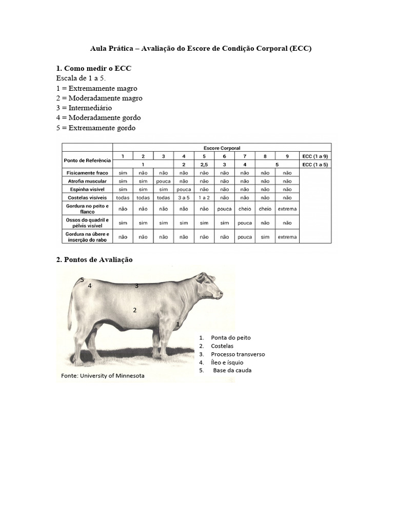 Avaliação do Escore de Condição Corporal | PDF