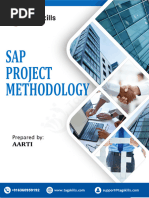 SAP Project Phases Explained | PDF | Systems Engineering | Computing