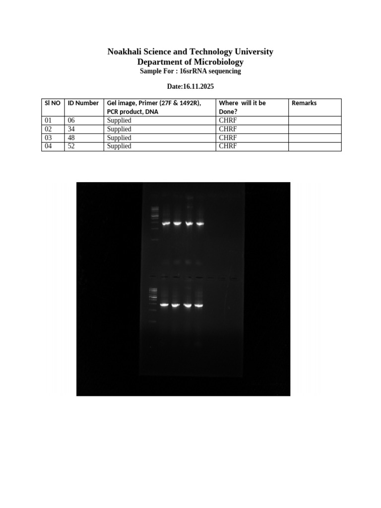 16s rRNA Sequencing Samples Details | PDF
