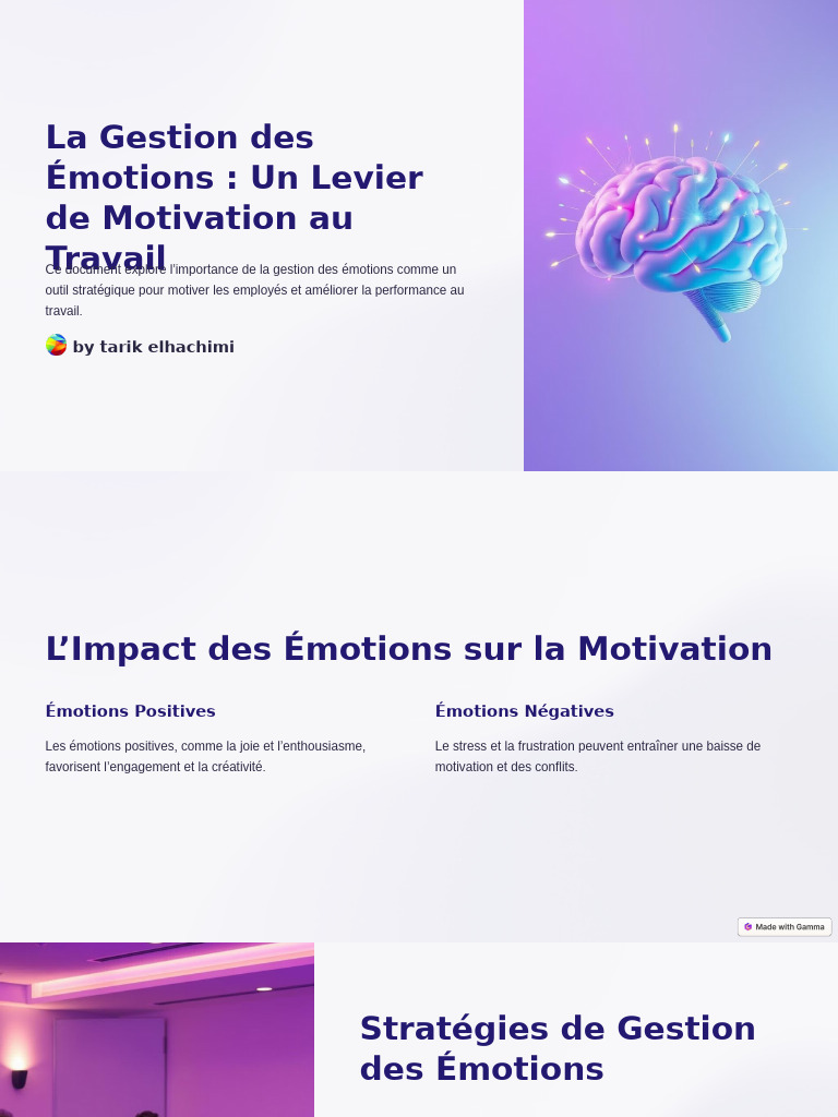 Gestion des Émotions pour Motiver au Travail | PDF | Motivation | Motivant