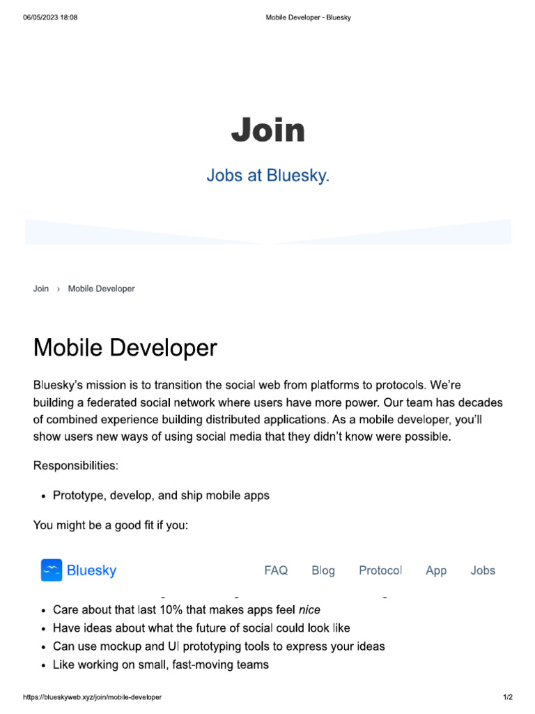 Mobile Developer | PDF