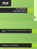 Pugmark Identification Guide | PDF | Tiger | Zoology