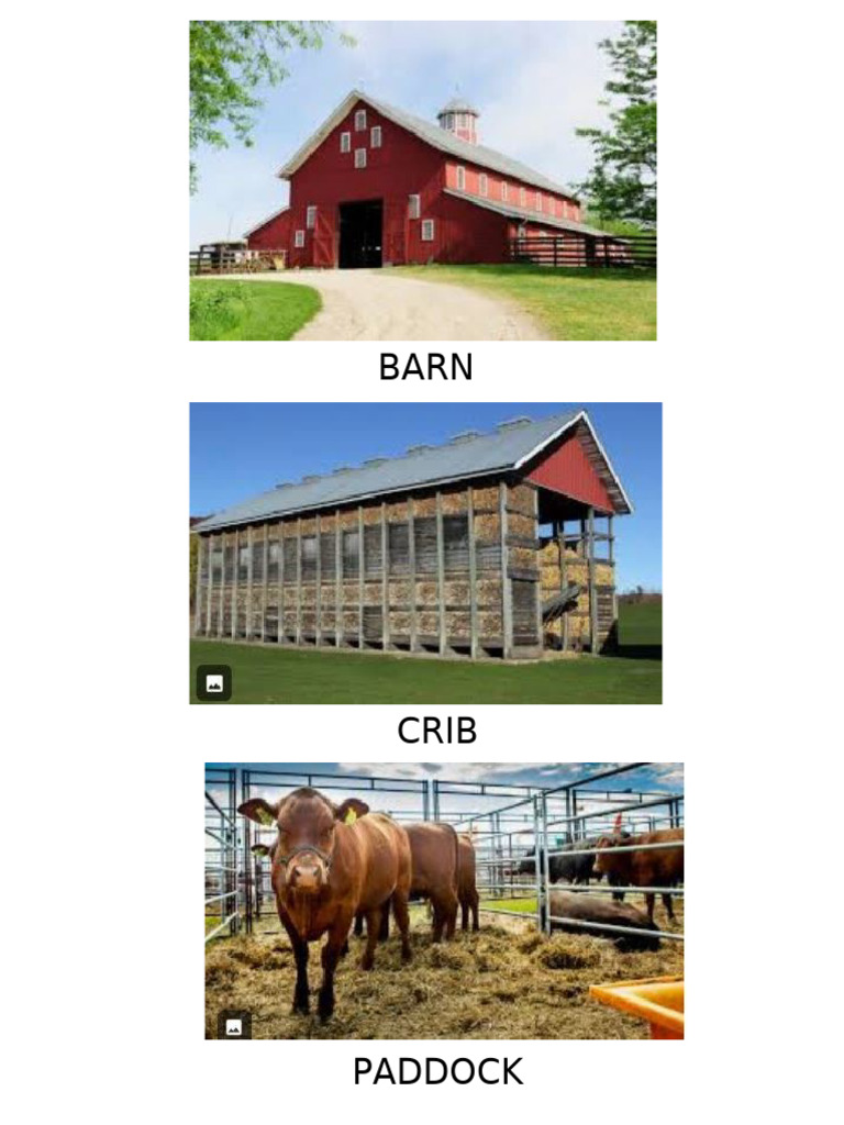 Farm Structure 3 | PDF