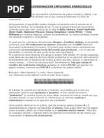 Download ejercicio Bateria paradidles by Soda Leiva Aranda Cerati SN95804581 doc pdf