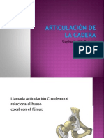 Articulaciondelacadera 110817201519 Phpapp02