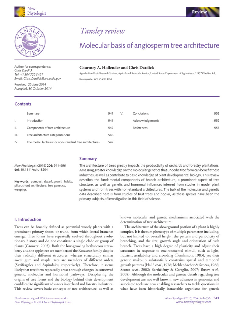 Molecular Genetics of Tree Architecture | PDF | Auxin | Wood