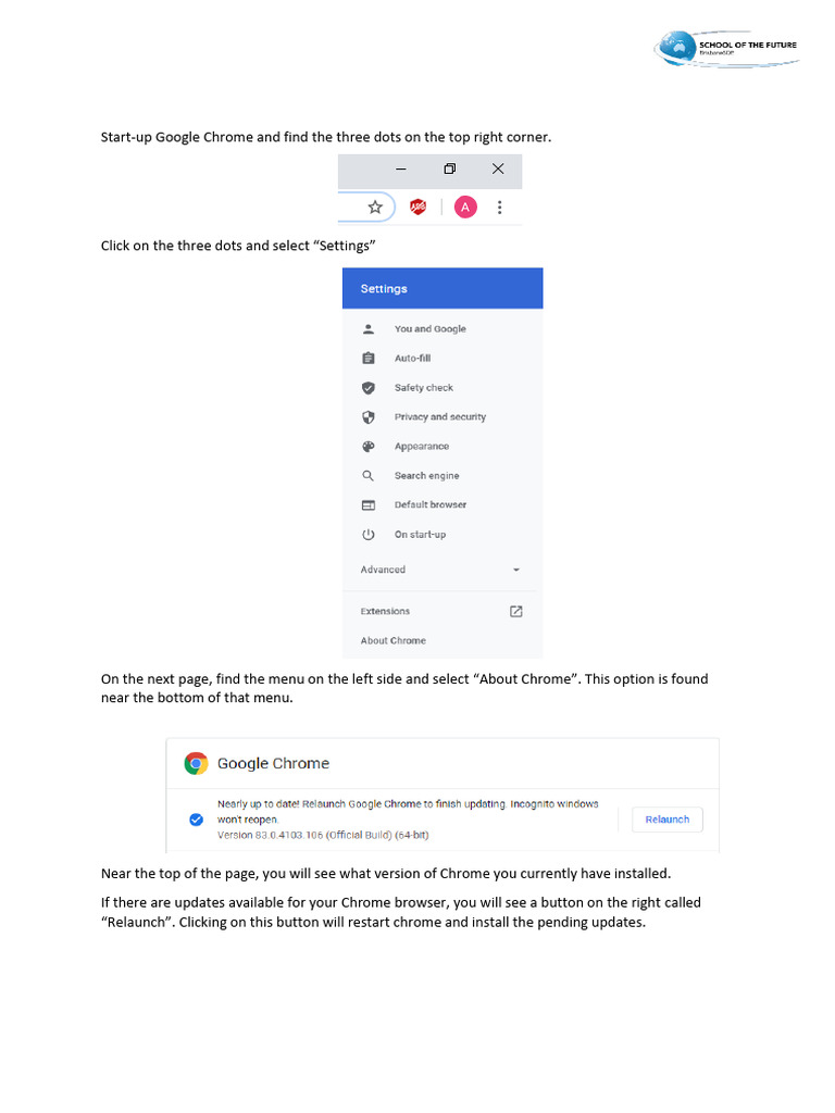 Update Your Google Chrome Version | PDF