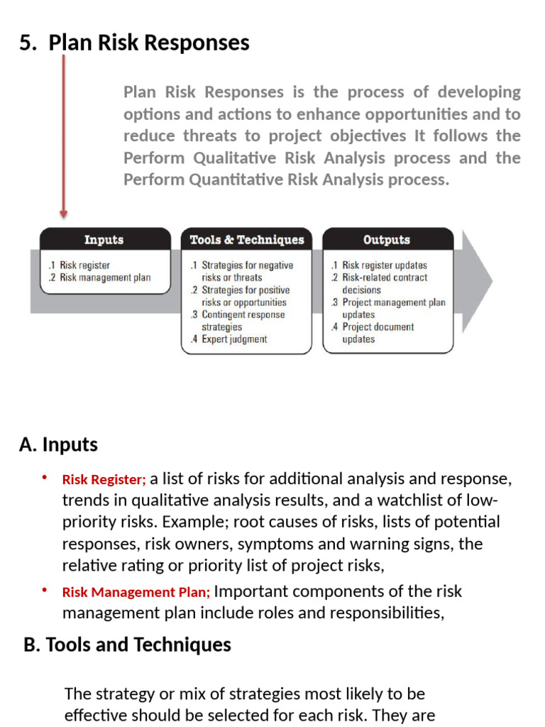 Plan Risk Responses in Project Management | PDF