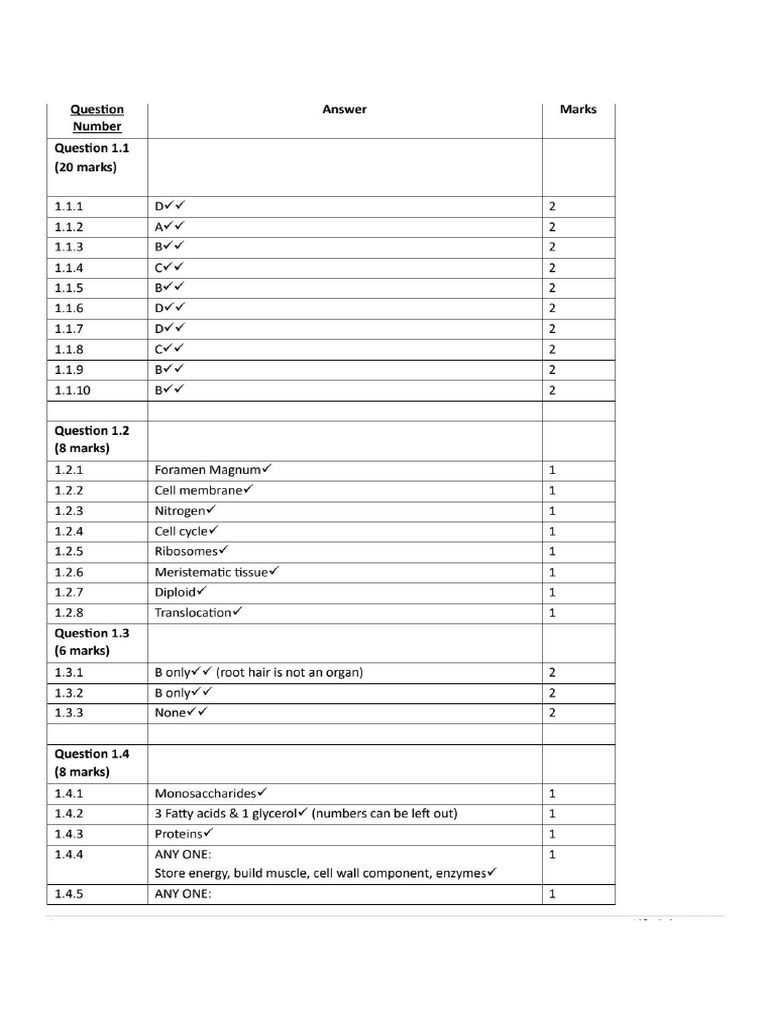 Memo | PDF