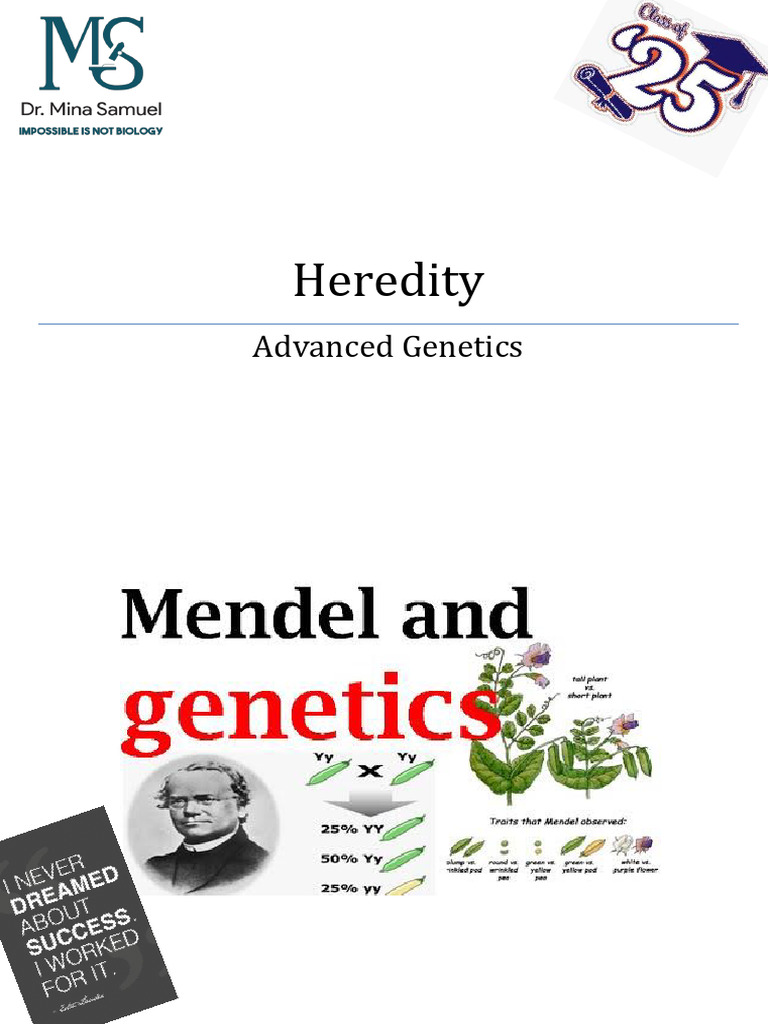Advanced Genetics Study Guide | PDF | Dominance (Genetics) | Genotype