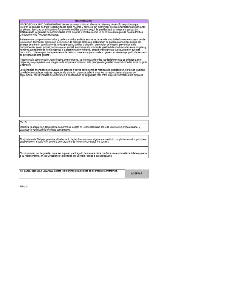 Final. ESQUEMA PLAN IGUALDAD | PDF | Igualdad de género | Estudios de ...