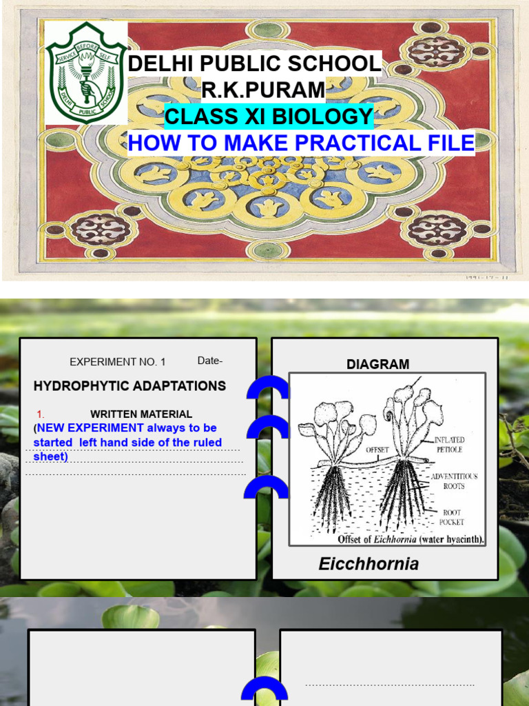 Class XI Biology Practical File Guide | PDF