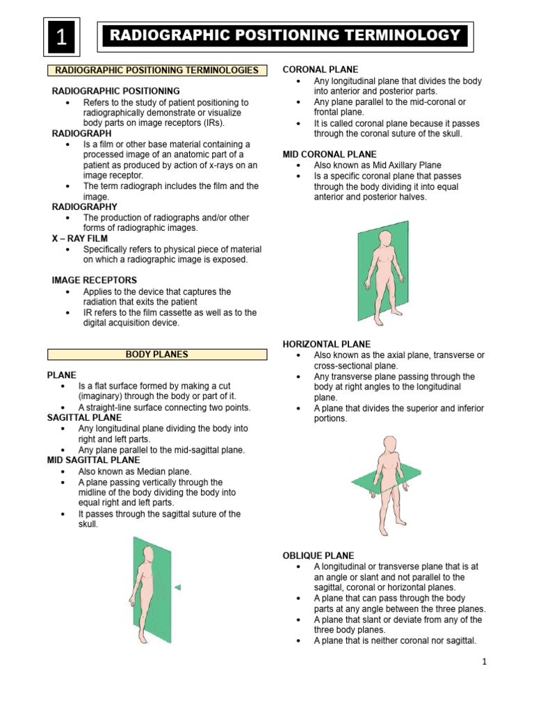 Radiographic Positioning Terminology Guide | PDF | Anatomical Terms Of ...