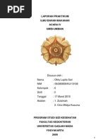 Download Laporan Praktikum-umbi Umbian by lupita06 SN95814362 doc pdf