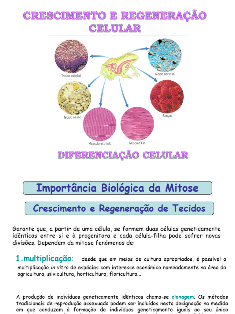Clonagem e Regeneração Celular em Organismos | PDF | Clonagem | Plasmídeo