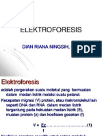 Elektroforesis 1