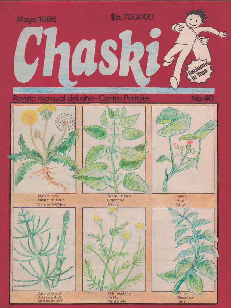 040 Chaski Compressed | PDF