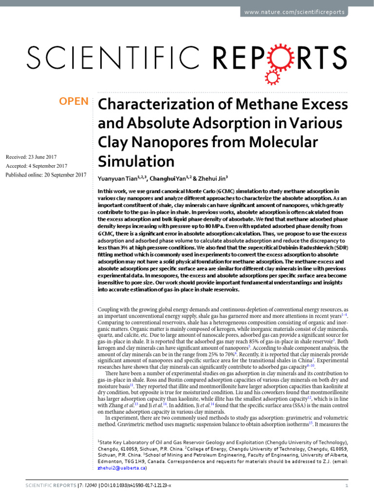 Methane Adsorption in Clay Nanopores | PDF | Adsorption | Density