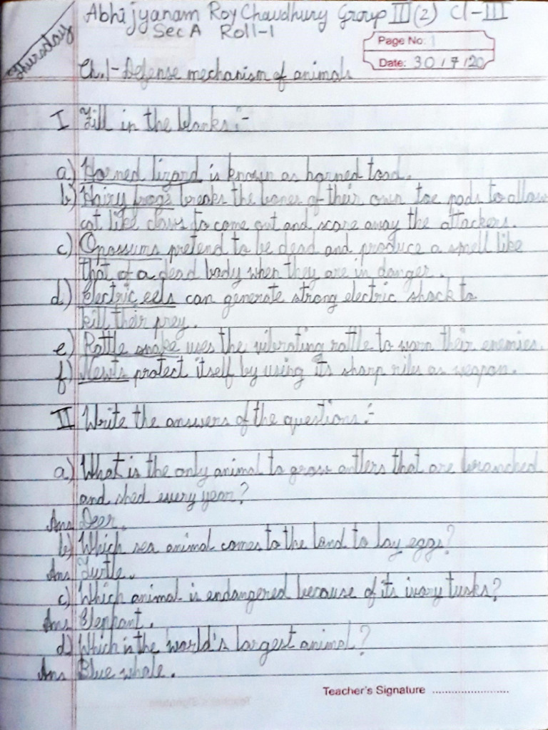 General Knowledge 3 | PDF