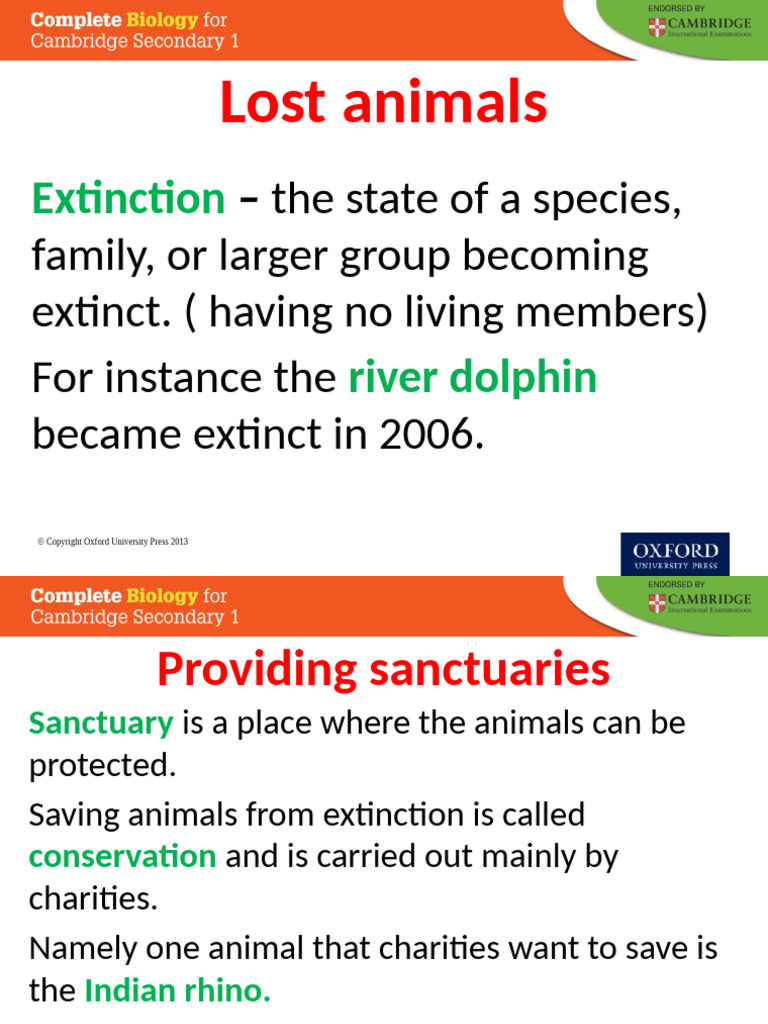 Conservation Efforts for Endangered Species | PDF