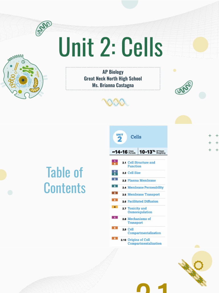 Understanding Cell Structure and Function | PDF | Cell Membrane ...