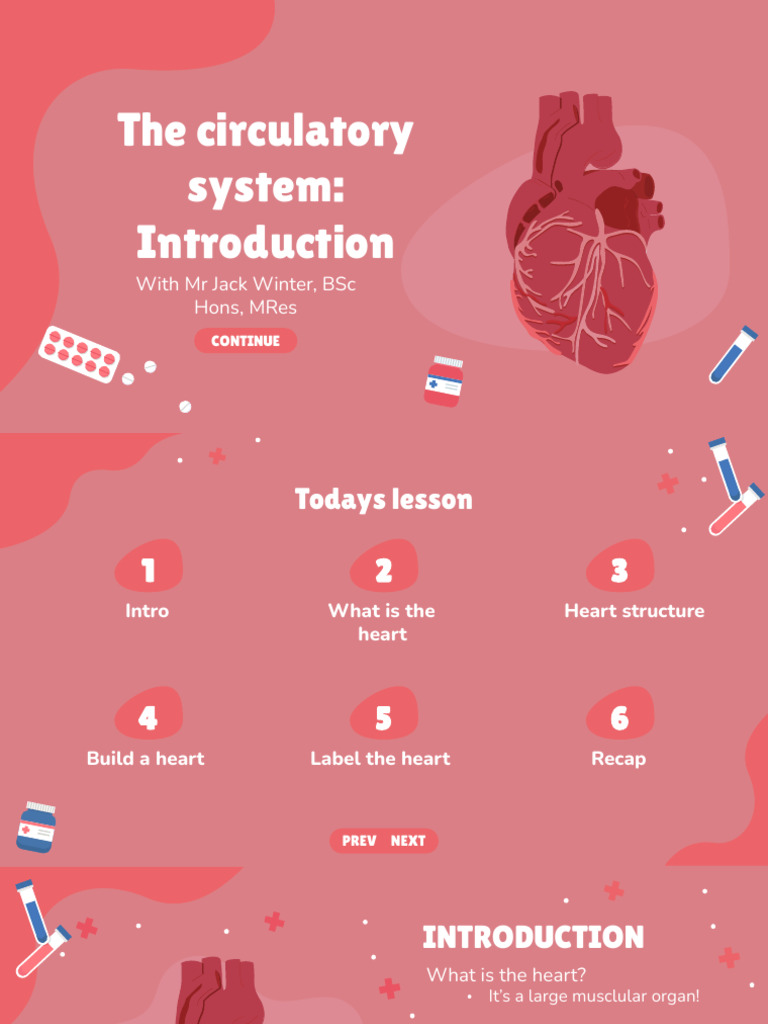 Understanding Heart Function and Rate | PDF | Heart | Heart Rate