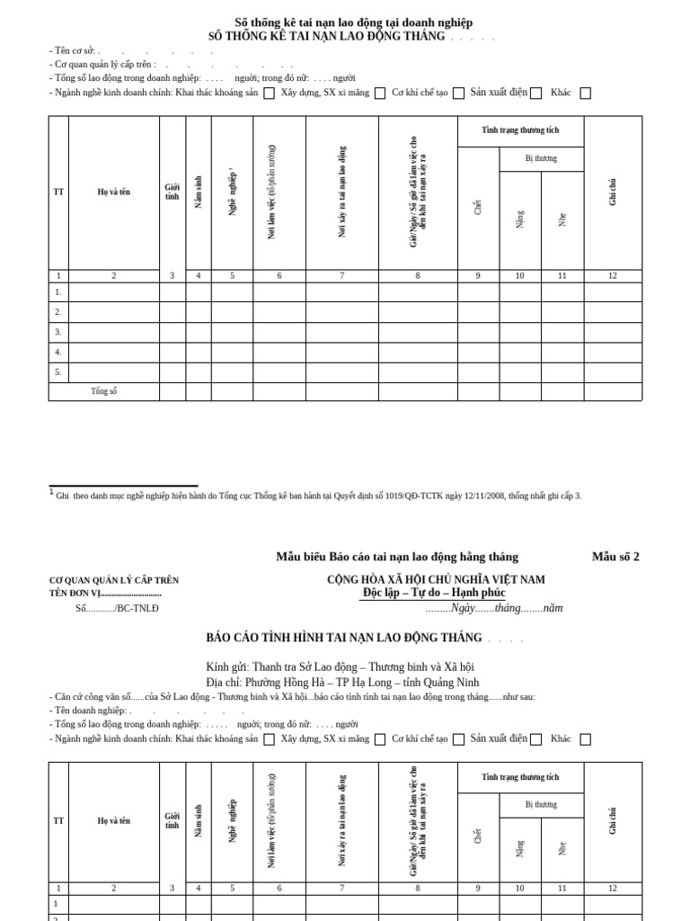 Bieu Mau Thong Ke TLND Cua DN | PDF
