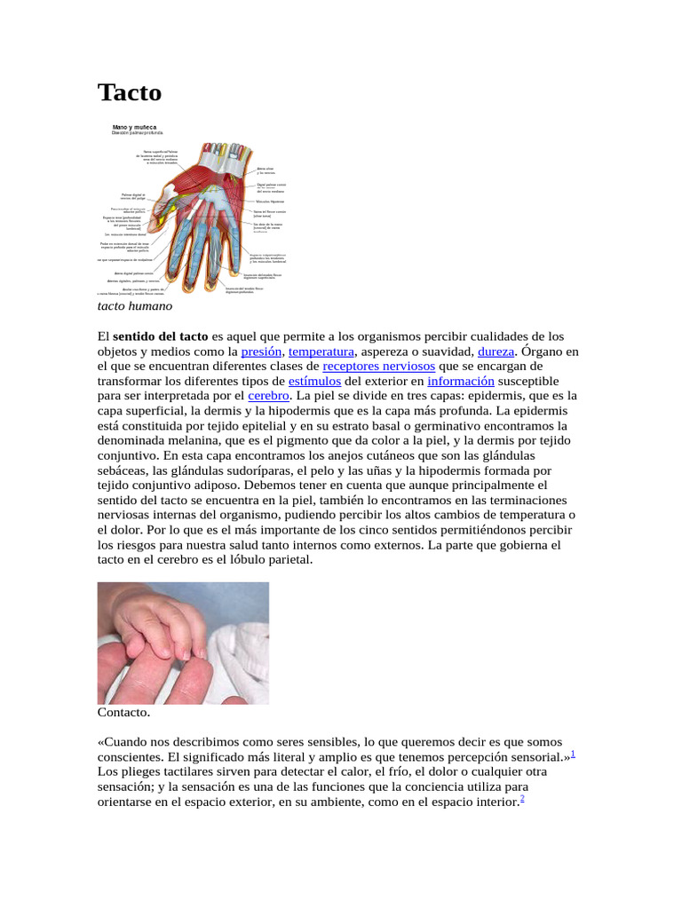Función y Estructura del Tacto Humano | PDF | Órgano (anatomía)