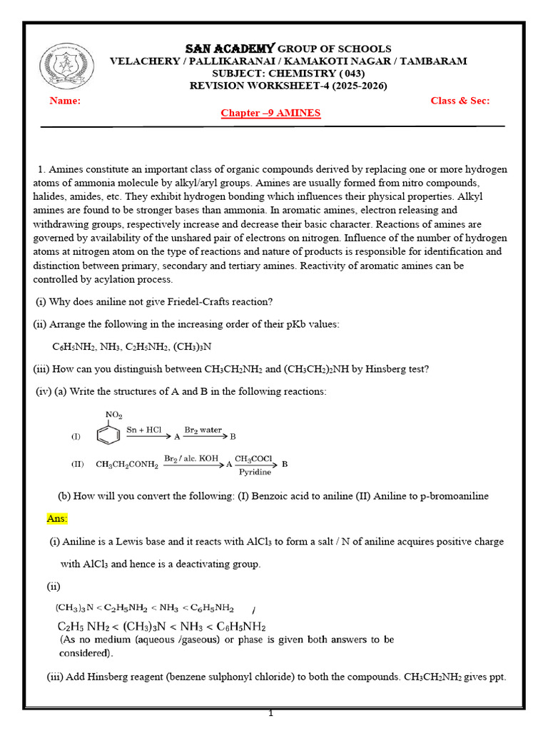 Understanding Amines: Properties & Reactions | PDF | Amine | Chemical ...