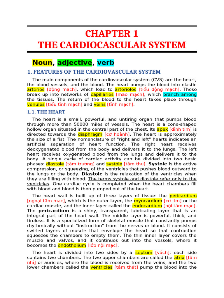 Understanding the Cardiovascular System | PDF | Heart Valve ...