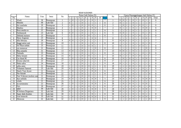 HASIL Kuisionern | PDF