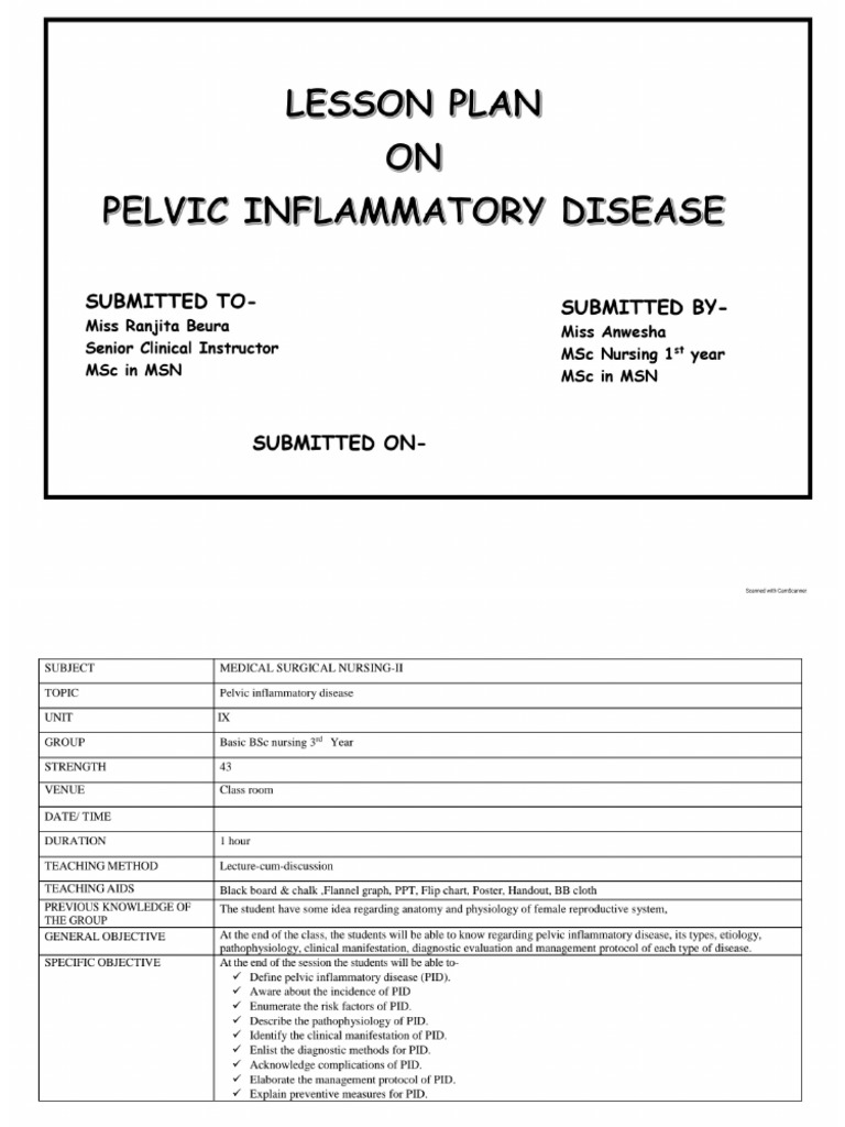 Lesson Plan Pid | PDF