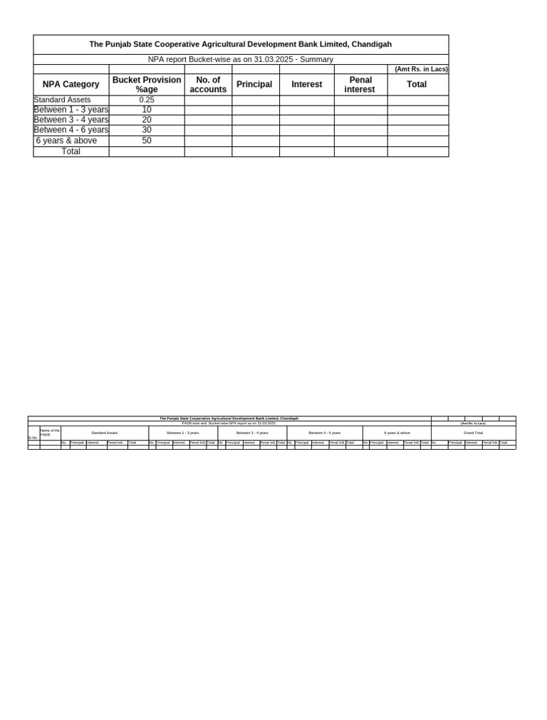 Npa 24-25 Bucket Wise and Padb Wise | PDF