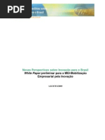 whitepaperativistadainovacao-090828151803-phpapp01