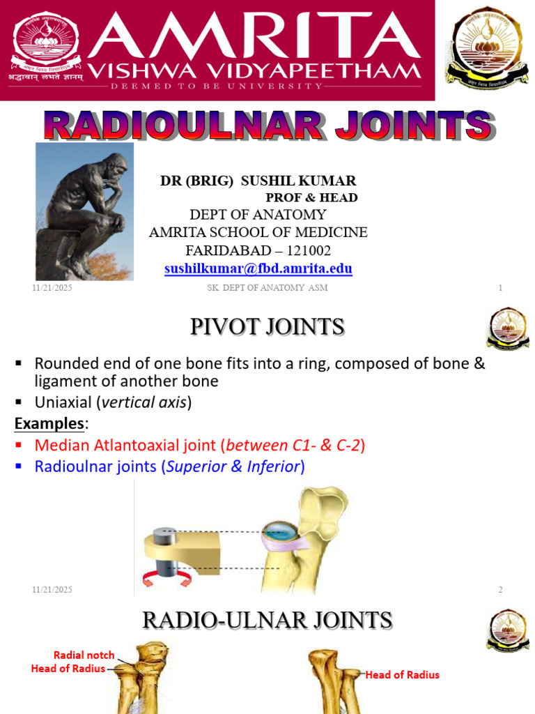 Anatomy of Radioulnar Joints Explained | PDF | Anatomical Terms Of ...