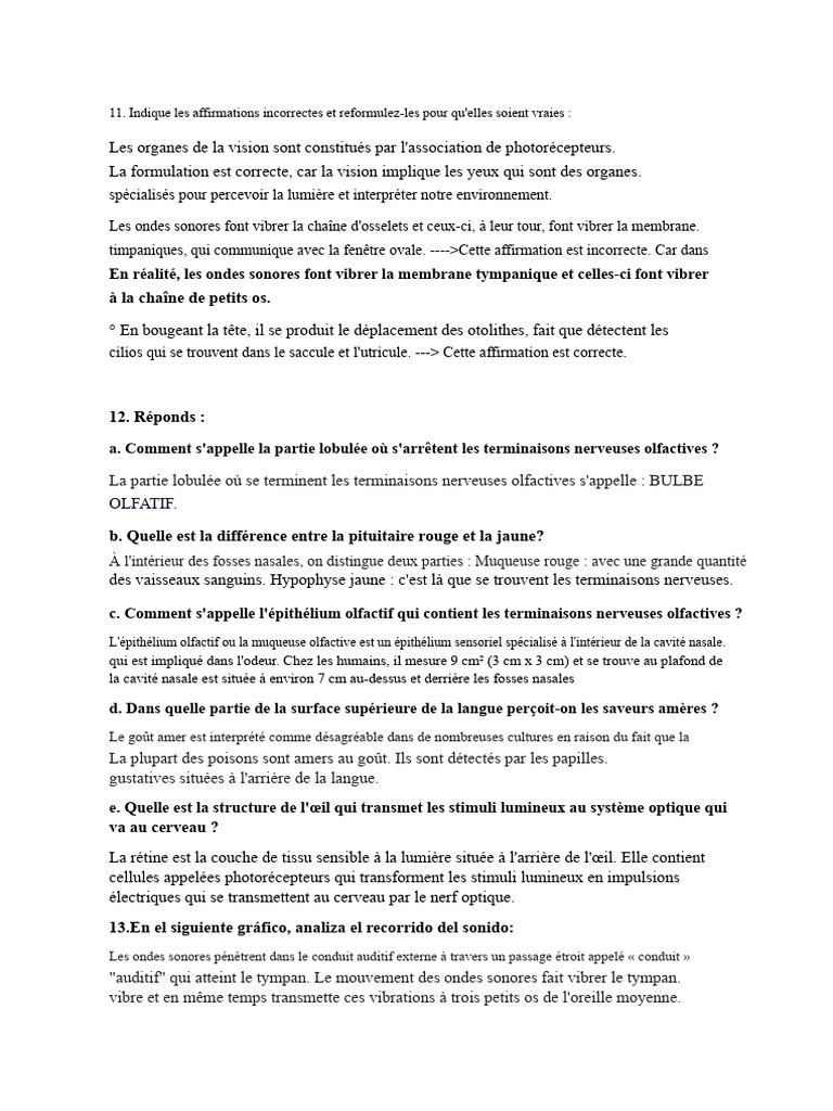 Anatomie et Fonction des Sens Humains | PDF | Œil humain | Oreille