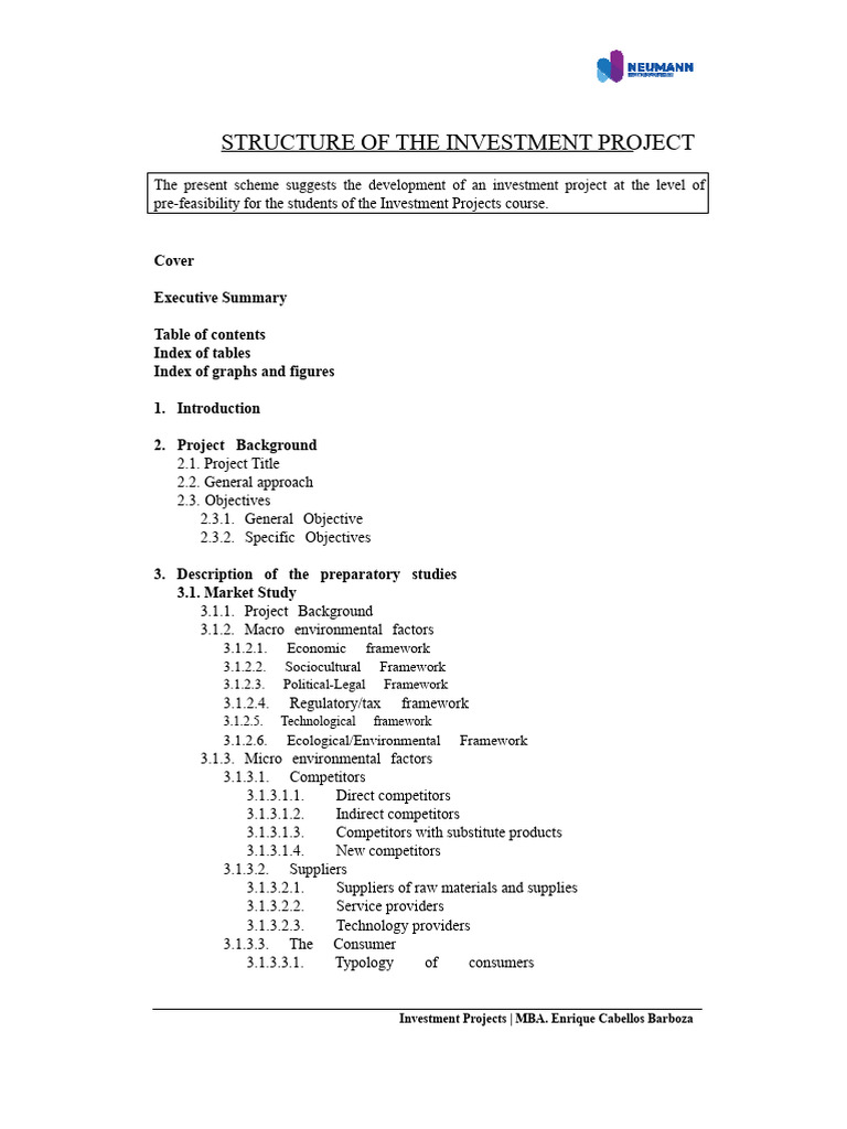 Investment Project Structure Guide | PDF | Demand | Marketing