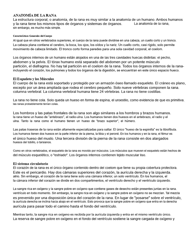 Anatomía de la Rana: Estructura y Funciones | PDF | Abdomen | Corazón