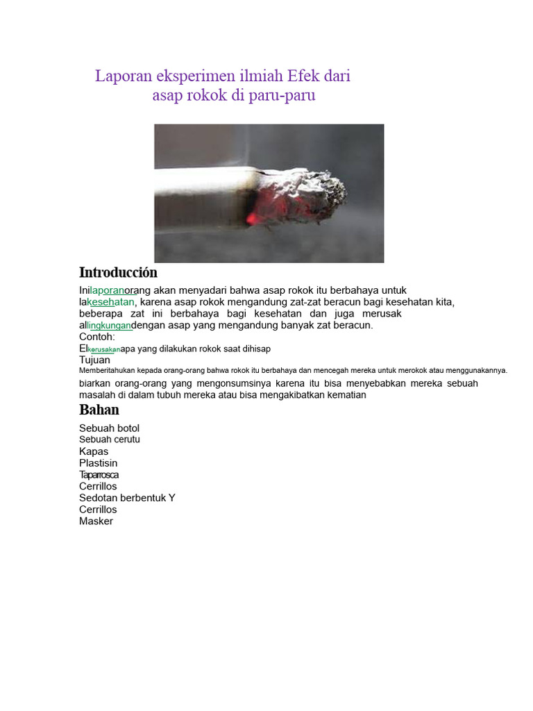 Laporan Eksperimen Ilmiah Efek Asap Rokok Pada Paru-Paru | PDF