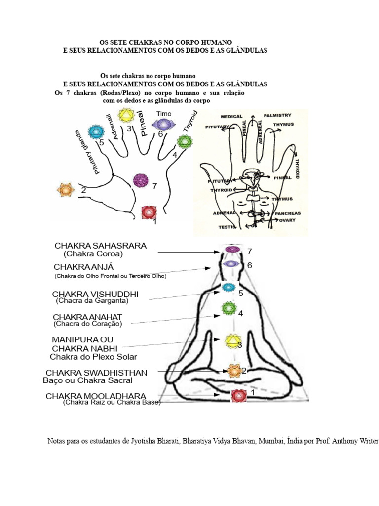 Sete Chakras e Suas Relações Corporais | PDF | Chacra | Kundalini