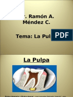 La pulpa